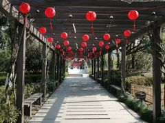 -白马涧龙池景区