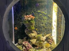 -嘉兴海底世界