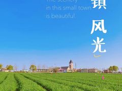 -花博汇(知音花月夜)