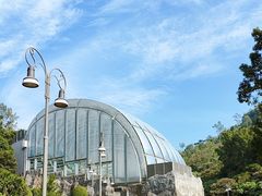 -石排湾郊野公园