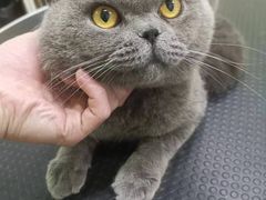 -沐沐家宠物(成寿寺店)