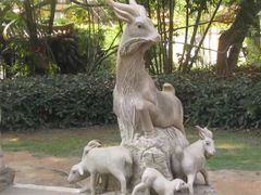 -深圳仙湖植物园