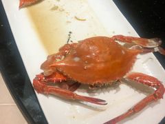-开海·红岛海鲜虾水饺(石老人店)