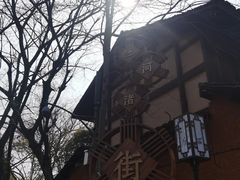 -西溪国家湿地公园