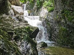 -牛背梁国家森林公园