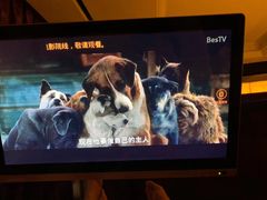 -海韵之星邮轮水会(明发商业广场店)