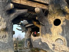 -都江堰玫瑰花溪谷