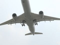 -空港花田景区