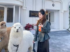 -Blue Concept Cafe&Farm·關於藍