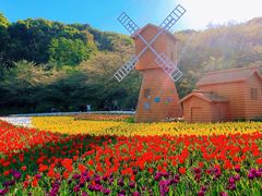 -苏州上方山国家森林公园