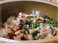 -红星光发煲仔饭(文海店)