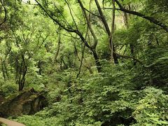-西安祥峪森林公园