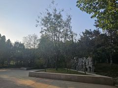 -东升文体公园