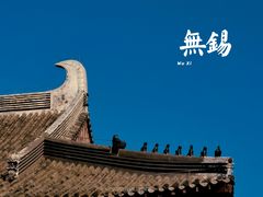-贡湖湾湿地公园