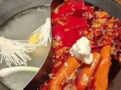 -阳阳老火锅(小南门店)