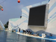 -北戴河圣蓝海洋公园