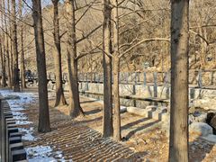 -白水寺森林公园