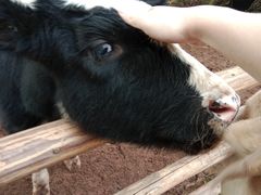 -海兰云天度假区温泉