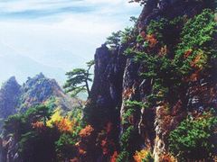 -洛阳白云山景区