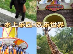 -水上乐园·欢乐世界
