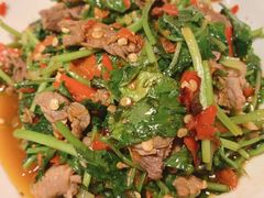 香菜炒牛肉-壹盏灯(惠农店)