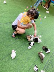 -萌宠亲子动物乐园(槐房万达店)