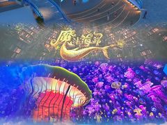 -海合安青岛极地海洋公园