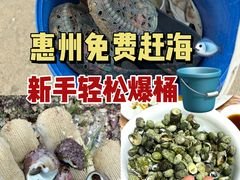 -双月湾