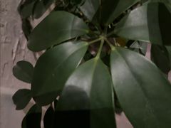-花迹(富春江东街店)