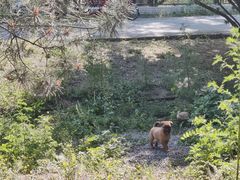 -永定河休闲森林公园