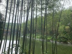 -蜀南竹海景区