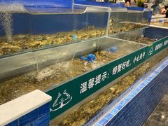 水产区-圣罗巴海鲜自助(黑金店)