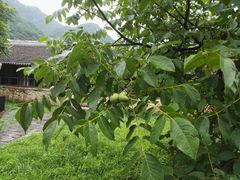 -北京山里寒舍度假酒店