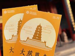 -大慈恩寺(大雁塔)