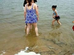 -碧海金沙