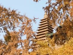 -北京石刻艺术博物馆(五塔寺)