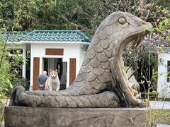 -晓港公园