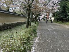 -醍醐寺