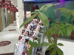 -雅悦齿科(顾村公园店)