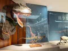 -自贡恐龙博物馆