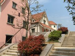-大塘金香草谷