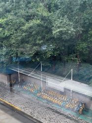 -上海首尔丽格医疗美容医院