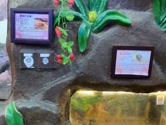 -上海大自然野生昆虫馆(东方明珠·爬宠昆虫探索中心)