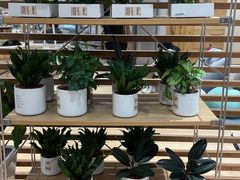 -MUJI无印良品(华贸店)