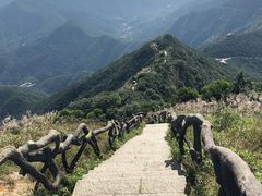 -梧桐山风景名胜区