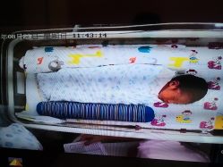 -海豚湾高端月子会所(黄浦店)