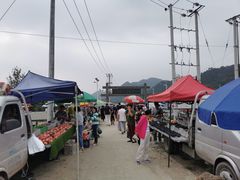 -示范集贸市场
