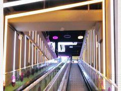 -Tenker Club弹刻极限主题公园 · 蹦床 · 团建 · 生日派对(大关店)