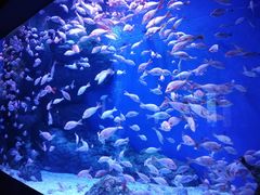 -成都浩海立方海洋公园