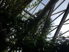 iphone_upload_pic-西安世博园